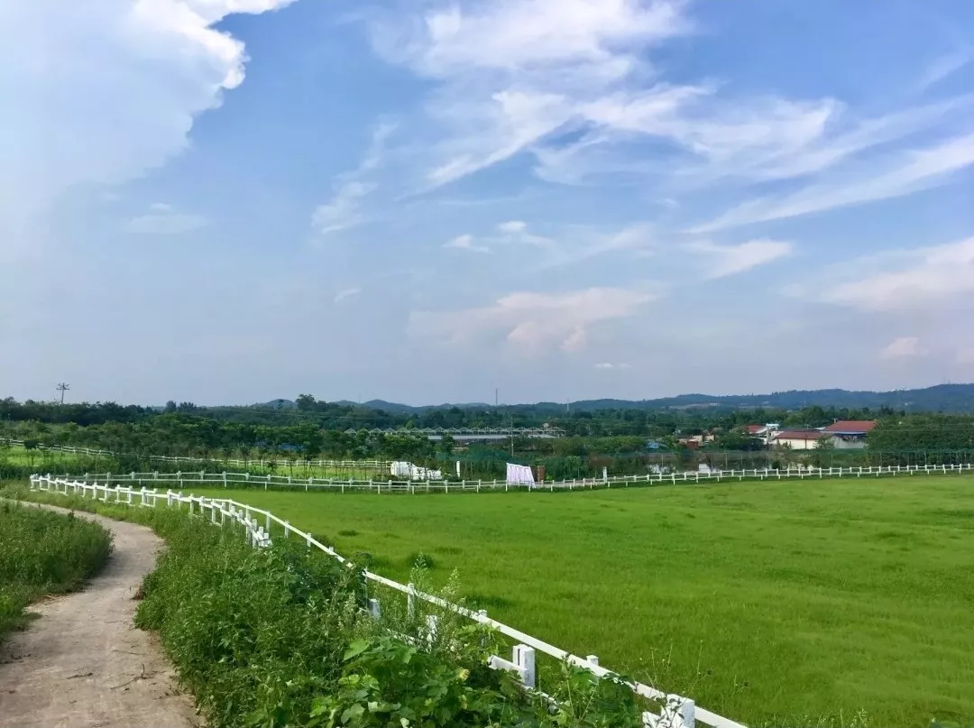 农场游玩攻略成都路线_成都农场有哪些景点_成都农场游玩攻略