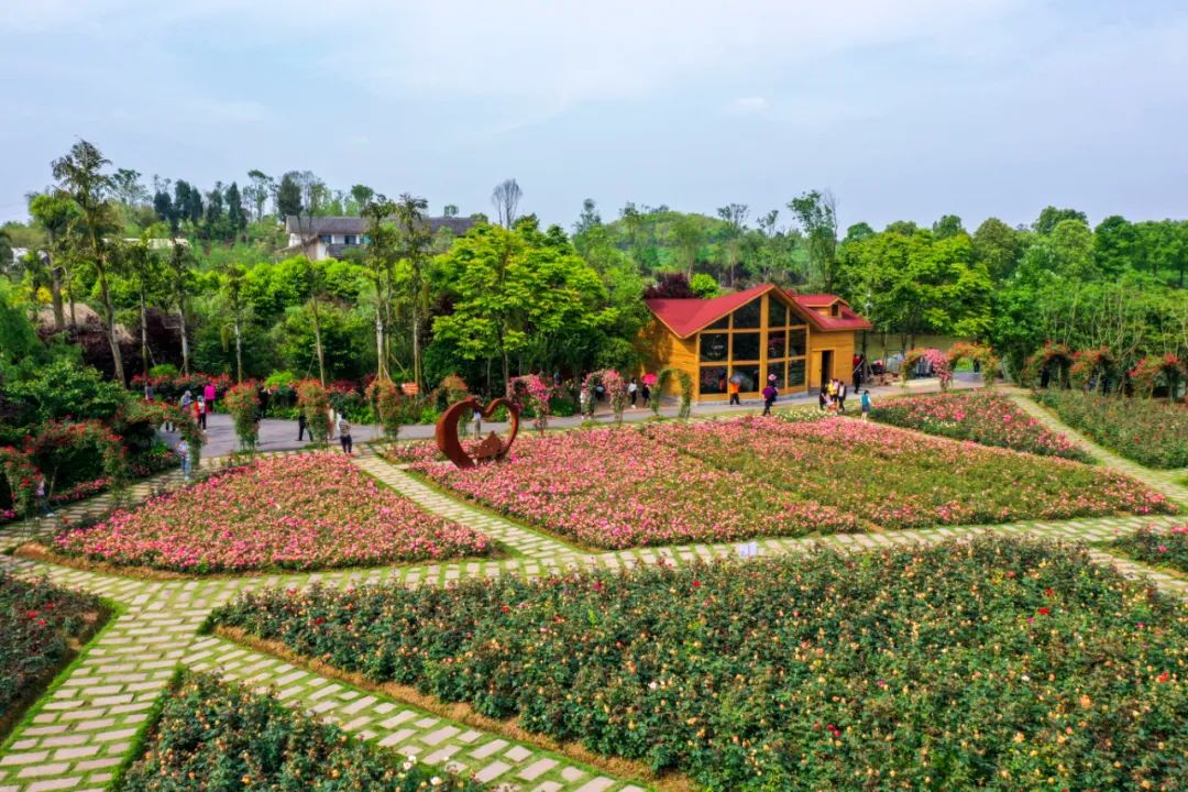 重庆好玩的景点_重庆好玩旅游景点_重庆好玩景点推荐