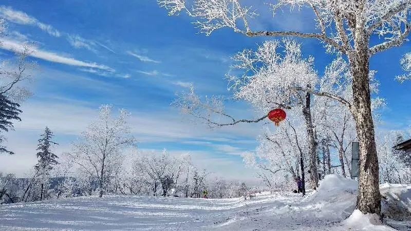 长白山雪乡旅游攻略_长白山雪景_长白山攻略旅游雪乡路线