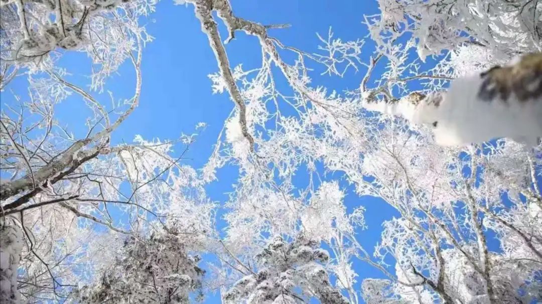 长白山雪乡旅游攻略_长白山攻略旅游雪乡路线_长白山雪景