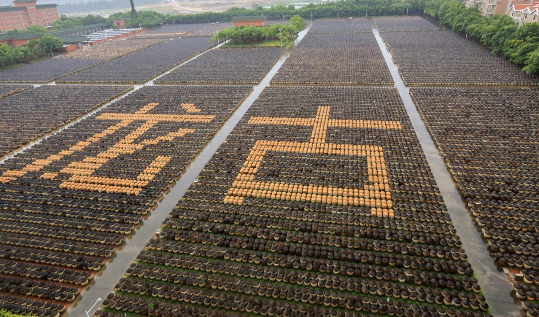 鼓浪屿上的老别墅的故事_《鼓浪屿老别墅》_鼓浪屿老建筑:白宅(白家别墅) 鼓浪屿旅游攻略网