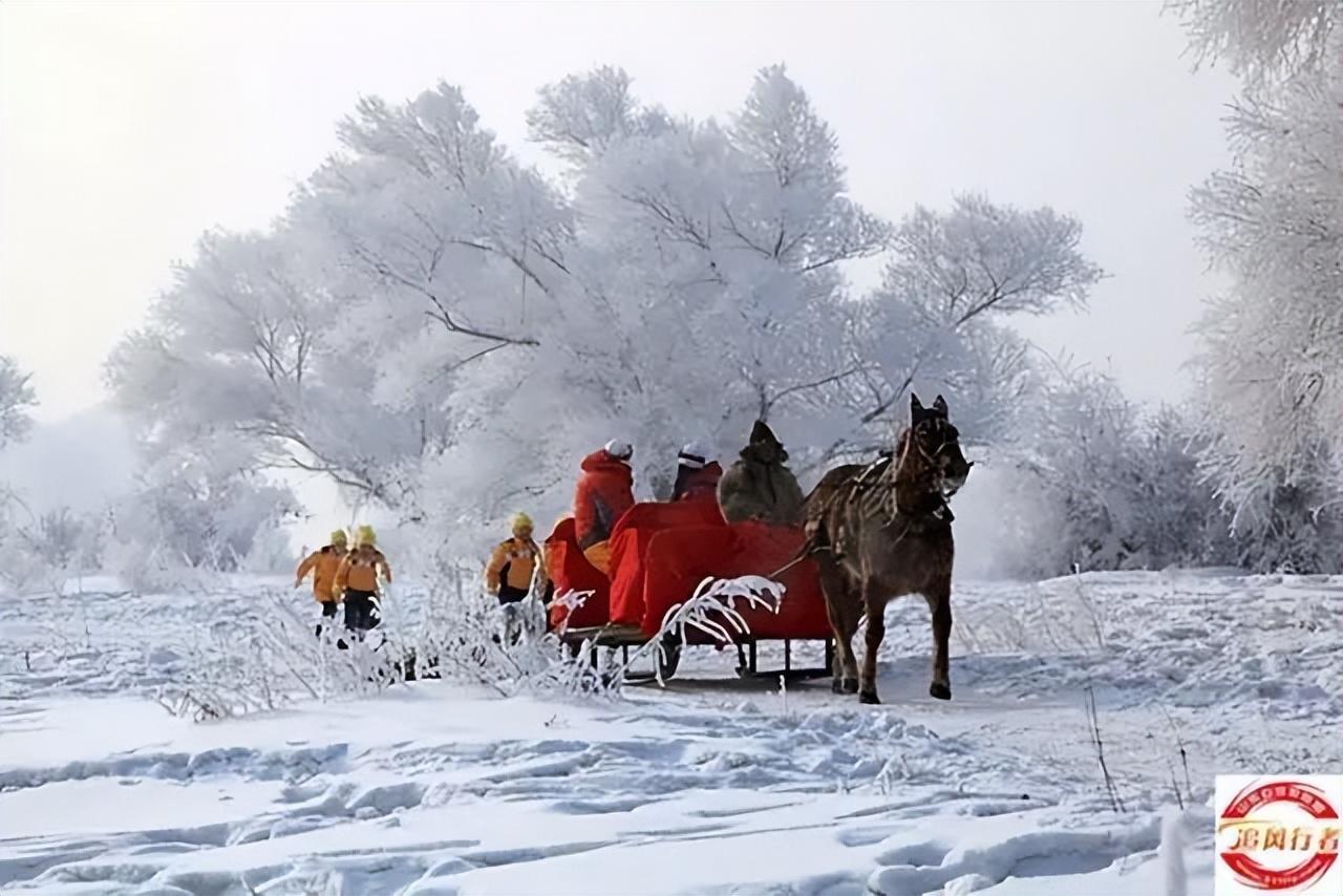 长春去雪乡路线_长春攻略旅游雪乡到哪里好玩_长春到雪乡旅游攻略