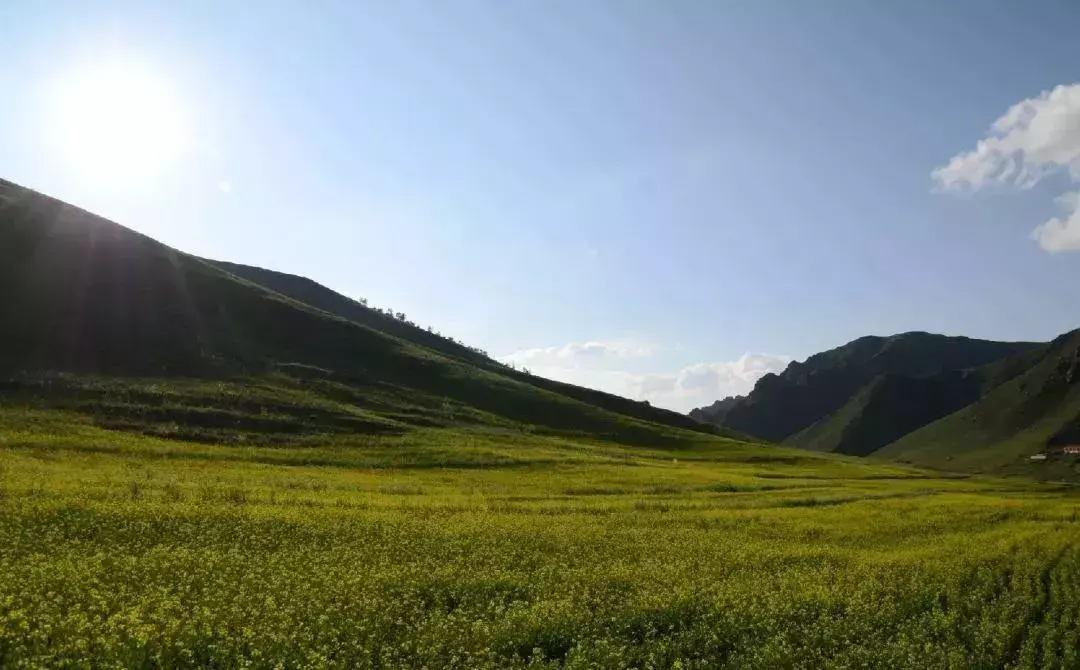 天津到张北草原旅游攻略_天津去张北草原_从天津去张北草原天路游玩攻略