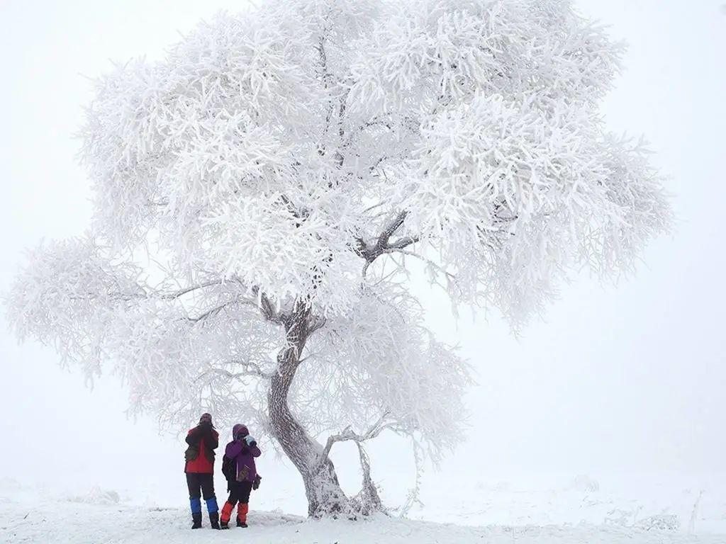 长春去雪乡路线_长春去雪乡旅游攻略_长春到雪乡旅游攻略