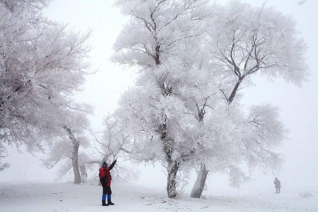 长春去雪乡路线_长春到雪乡旅游攻略_长春去雪乡旅游攻略