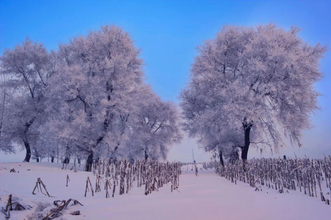 长春到雪乡旅游攻略_长春去雪乡旅游攻略_长春去雪乡路线