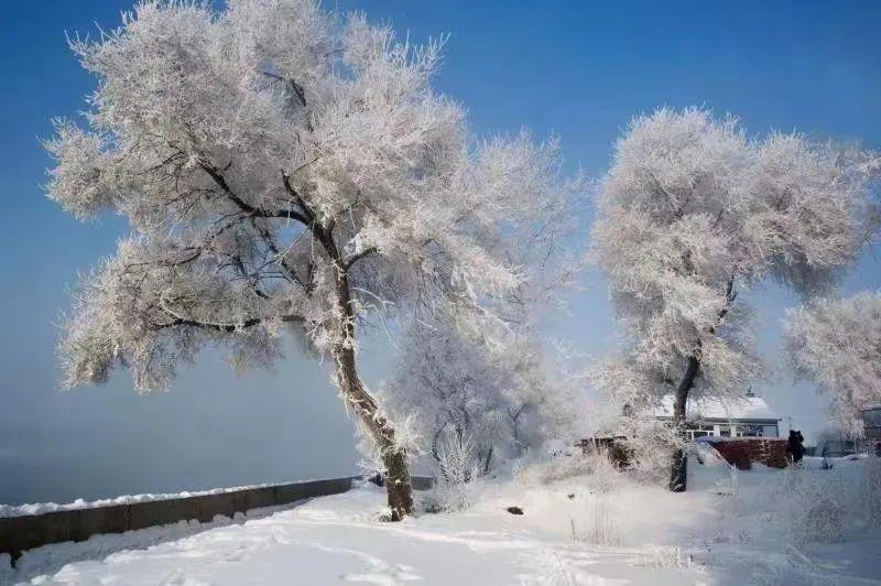 长春去雪乡旅游攻略_长春去雪乡路线_长春到雪乡旅游攻略