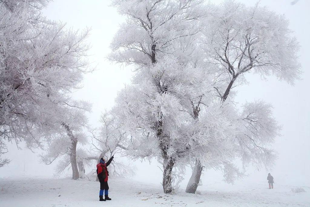 长春去雪乡旅游攻略_长春去雪乡路线_长春到雪乡旅游攻略