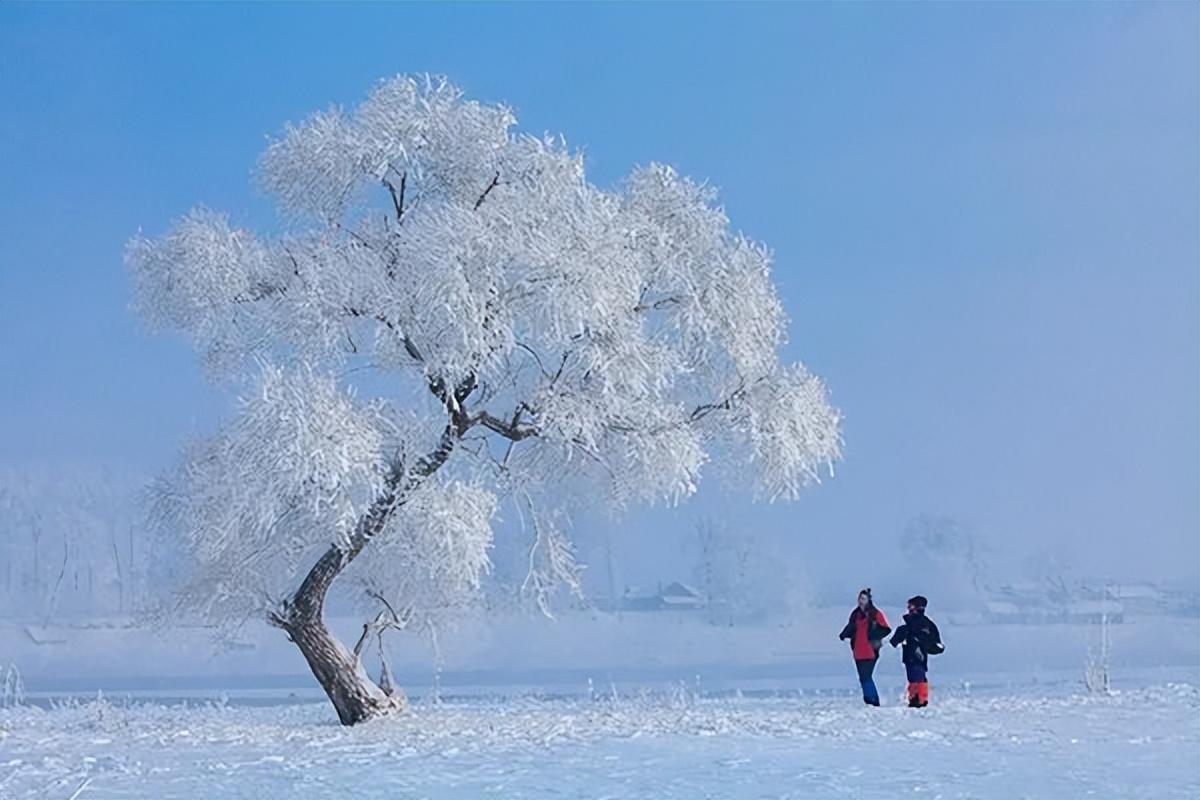 长春到雪乡旅游攻略_长春去雪乡路线_长春去雪乡旅游攻略