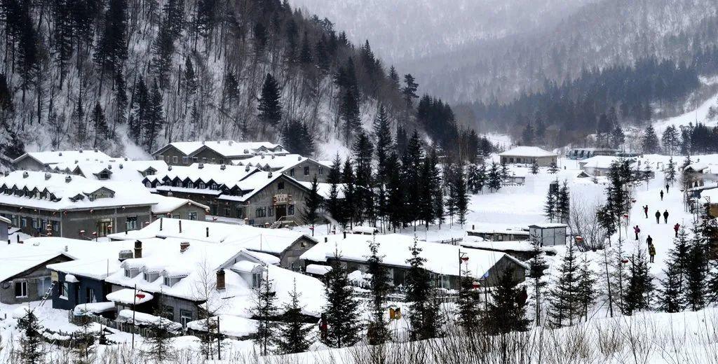 长春到雪乡旅游攻略_长春去雪乡路线_长春去雪乡旅游攻略