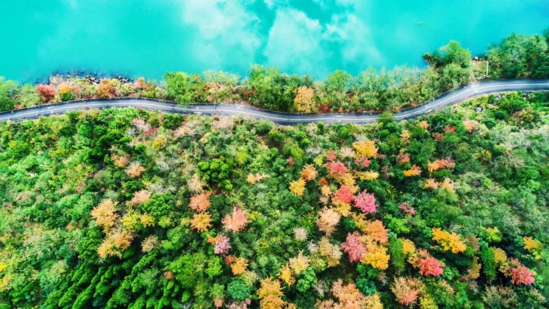 神仙居旅游攻略_台州神仙在哪居攻略_蓬莱仙岛居神仙