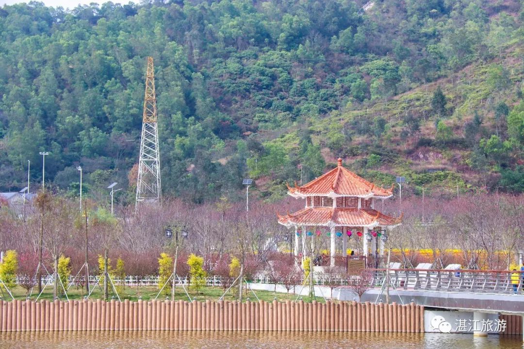 湛江附近好玩的景点_湛江吴川附近景点_湛江附近景点有哪些