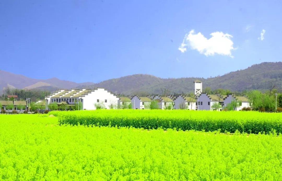 浚县大伾山旅游攻略_杭州天目山旅游攻略_重庆武隆山旅游攻略