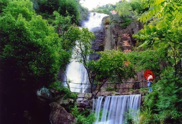 神雕山野生动物园旅游攻略_南平茫荡山旅游攻略_杭州天目山旅游攻略