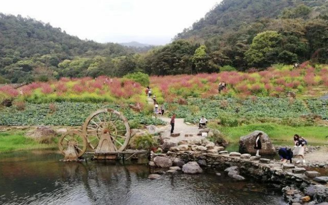 从化景点推荐_从化哪里好玩的景点_从化好玩的景点