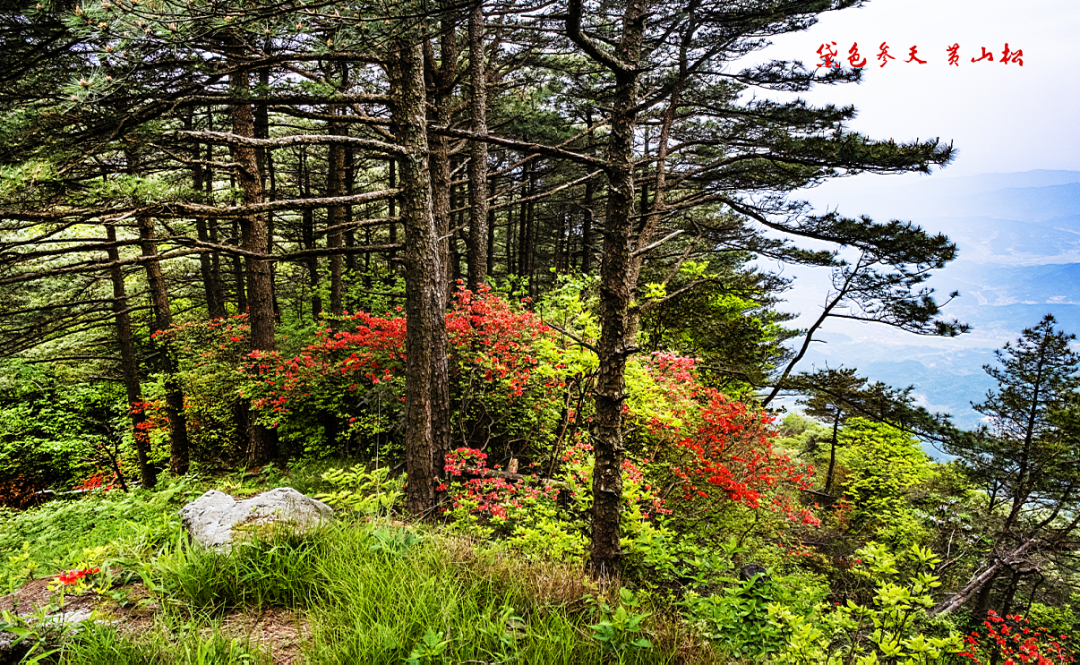 岳阳游玩景点_好玩景点岳阳有哪些_岳阳好玩的景点