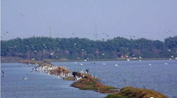 南沙湿地公园介绍_南沙湿地公园游玩指南_南沙湿地公园游玩攻略