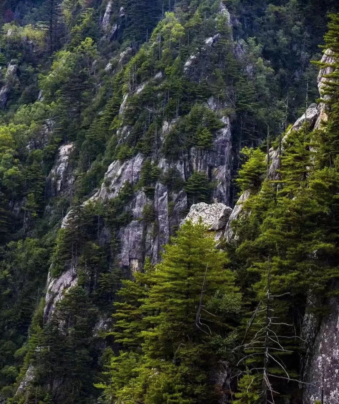 天门山+天门狐山旅游攻略_玉渡山旅游攻略_天宫山旅游攻略