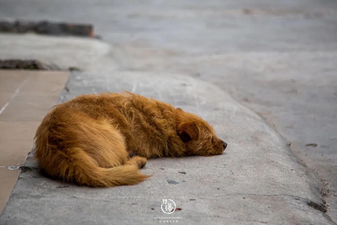 东南亚好玩的国家_东南亚好玩国家排行_东南亚哪个国家好玩