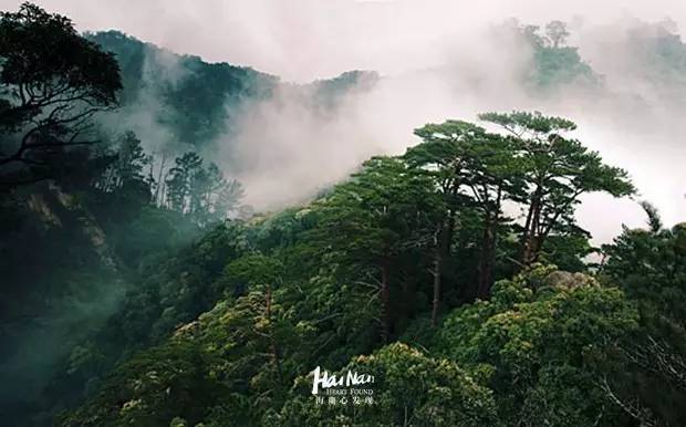 保亭主要景点_保亭好玩的旅游景点_保亭好玩的景点