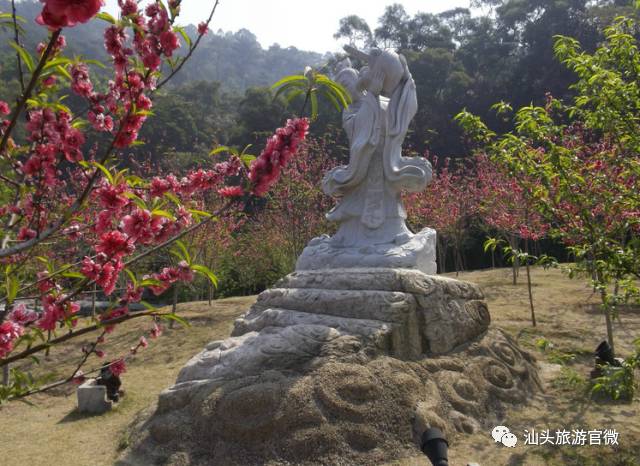 汕头免费旅游景点_汕头好玩的免费景点_汕头哪些景点免门票