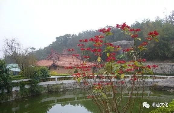 汕头哪些景点免门票_汕头免费旅游景点_汕头好玩的免费景点