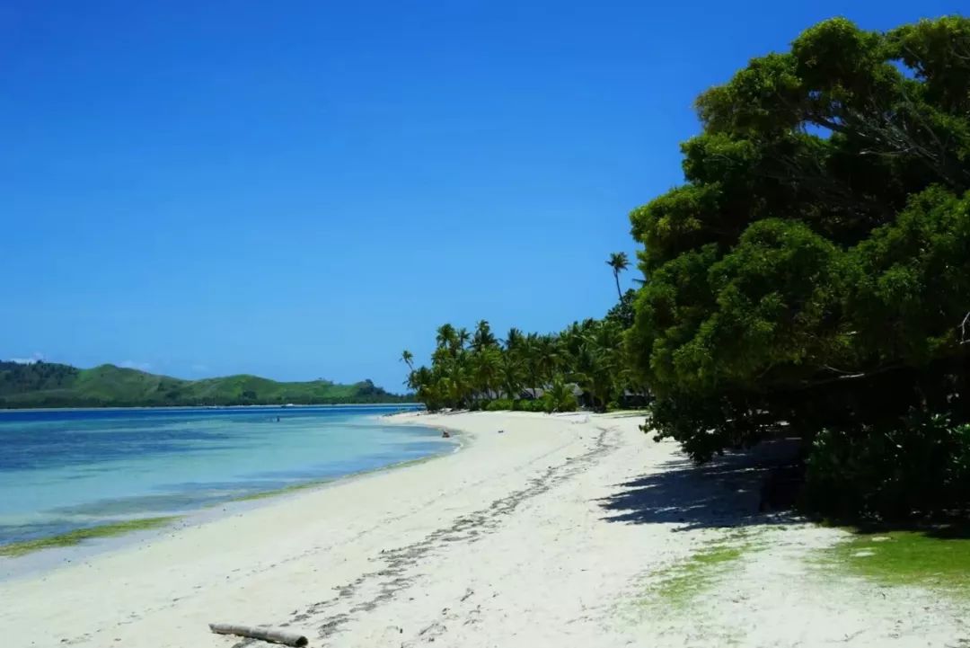 到斐济旅游需要多少钱_到斐济楠迪旅游攻略_斐济旅游路线