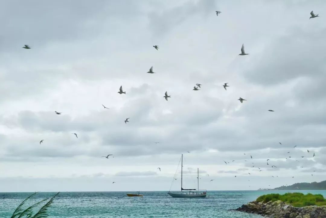 到斐济楠迪旅游攻略_斐济旅游路线_到斐济旅游需要多少钱