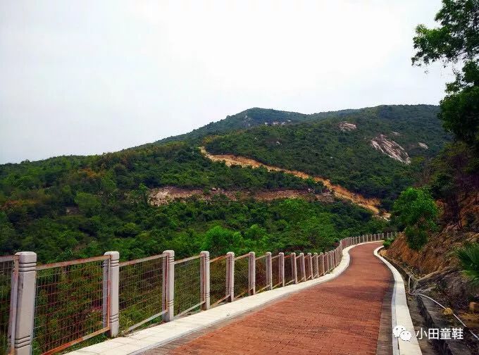 大鹏半岛景区_大鹏半岛旅游攻略_大鹏半岛游玩