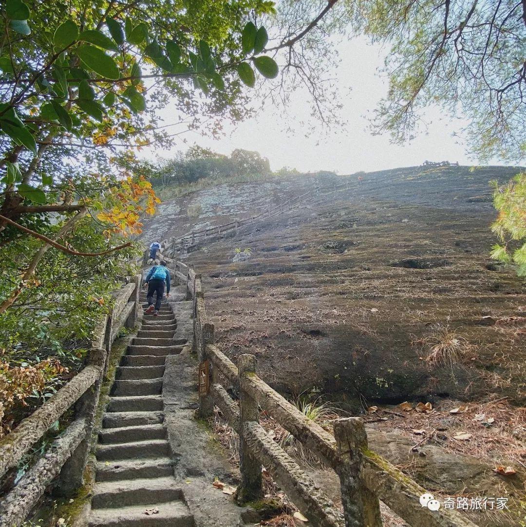 武夷山一日旅游攻略_旅行攻略武夷山_武夷山的攻略