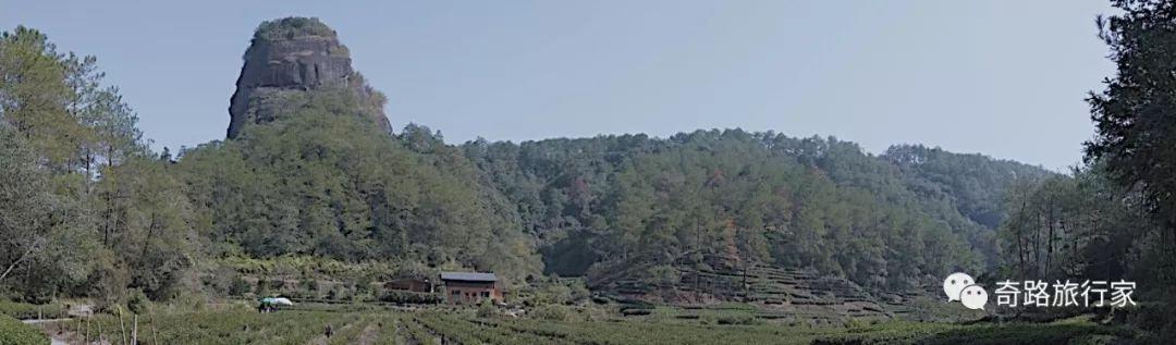 武夷山的攻略_武夷山一日旅游攻略_旅行攻略武夷山