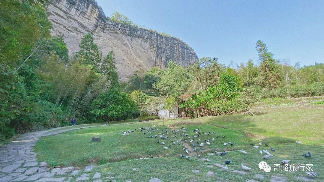 武夷山的攻略_旅行攻略武夷山_武夷山一日旅游攻略