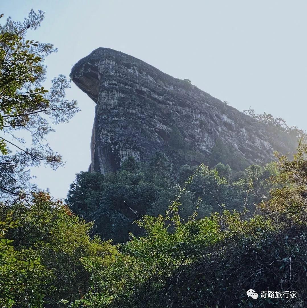 武夷山一日旅游攻略_旅行攻略武夷山_武夷山的攻略