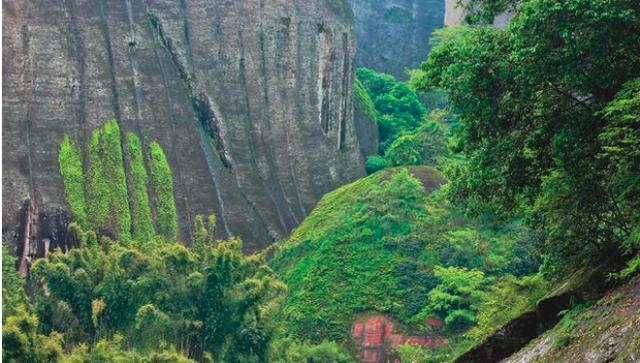 旅行攻略武夷山_武夷山的攻略_武夷山一日旅游攻略