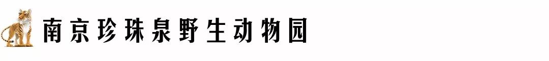 台山周边好玩地方好玩_苏州周边好玩的地方有哪些_杭州周边好玩地方