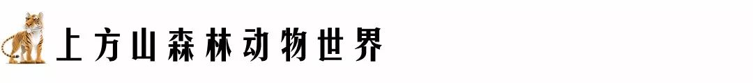 苏州周边好玩的地方有哪些_台山周边好玩地方好玩_杭州周边好玩地方