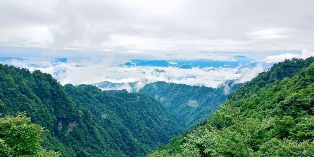 成都自驾峨眉山旅游攻略_峨眉乐山大佛旅游攻略_成都自驾贵阳旅游攻略