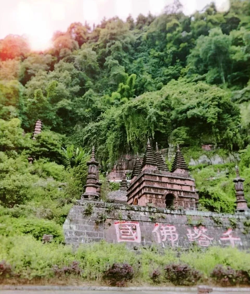 峨眉乐山大佛旅游攻略_成都自驾贵阳旅游攻略_成都自驾峨眉山旅游攻略