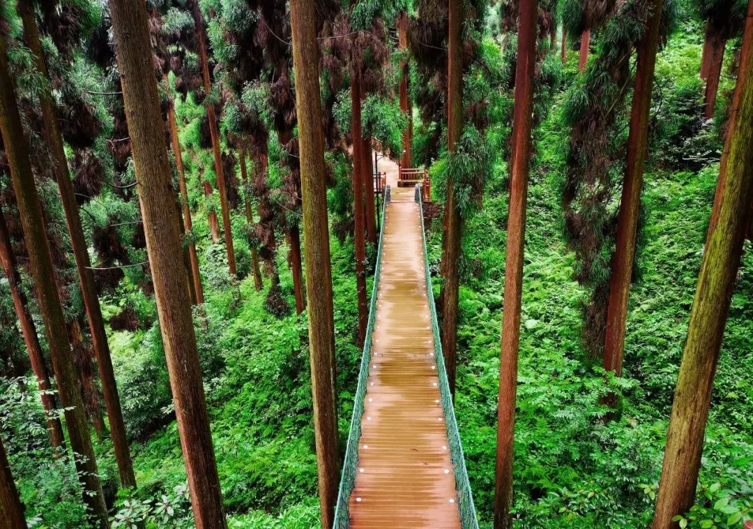 成都自驾峨眉山旅游攻略_峨眉乐山大佛旅游攻略_成都自驾贵阳旅游攻略