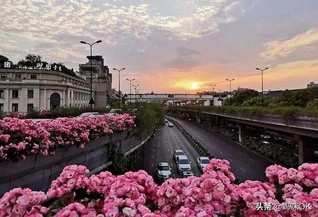 天目大峡谷旅游攻略_杭州天目山旅游攻略_辰山植物园旅游攻略