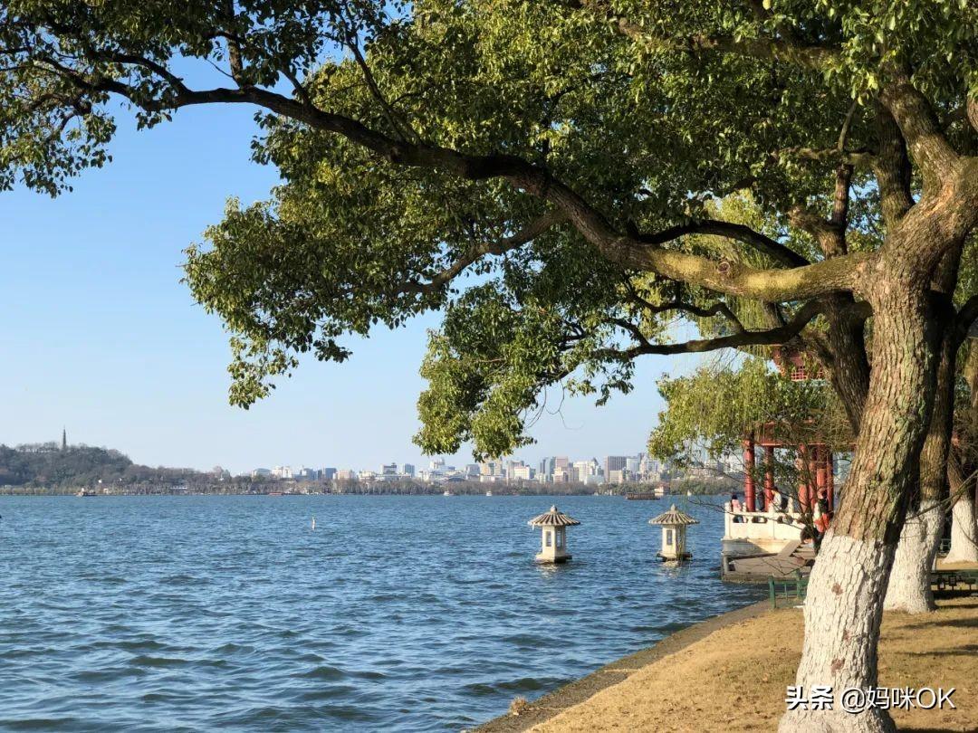 天目大峡谷旅游攻略_辰山植物园旅游攻略_杭州天目山旅游攻略