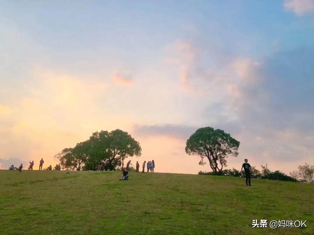 杭州天目山旅游攻略_天目大峡谷旅游攻略_辰山植物园旅游攻略