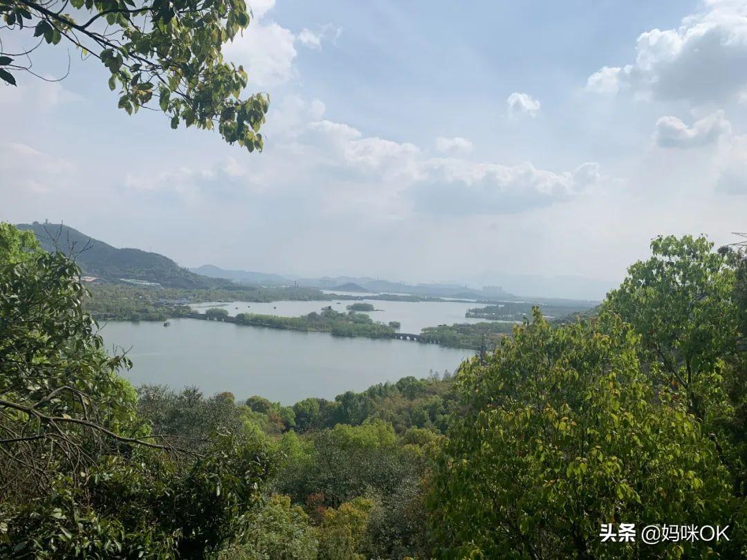 杭州天目山旅游攻略_辰山植物园旅游攻略_天目大峡谷旅游攻略