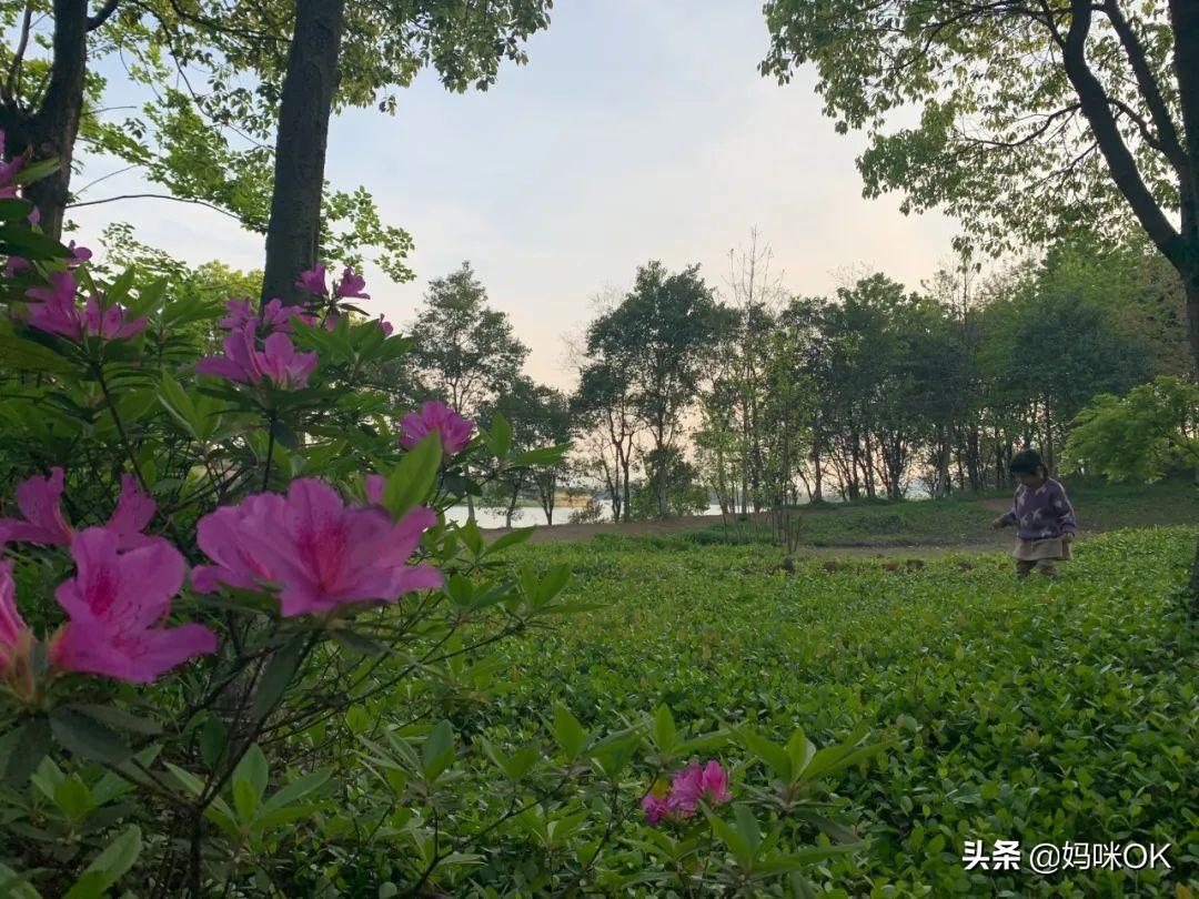 天目大峡谷旅游攻略_辰山植物园旅游攻略_杭州天目山旅游攻略