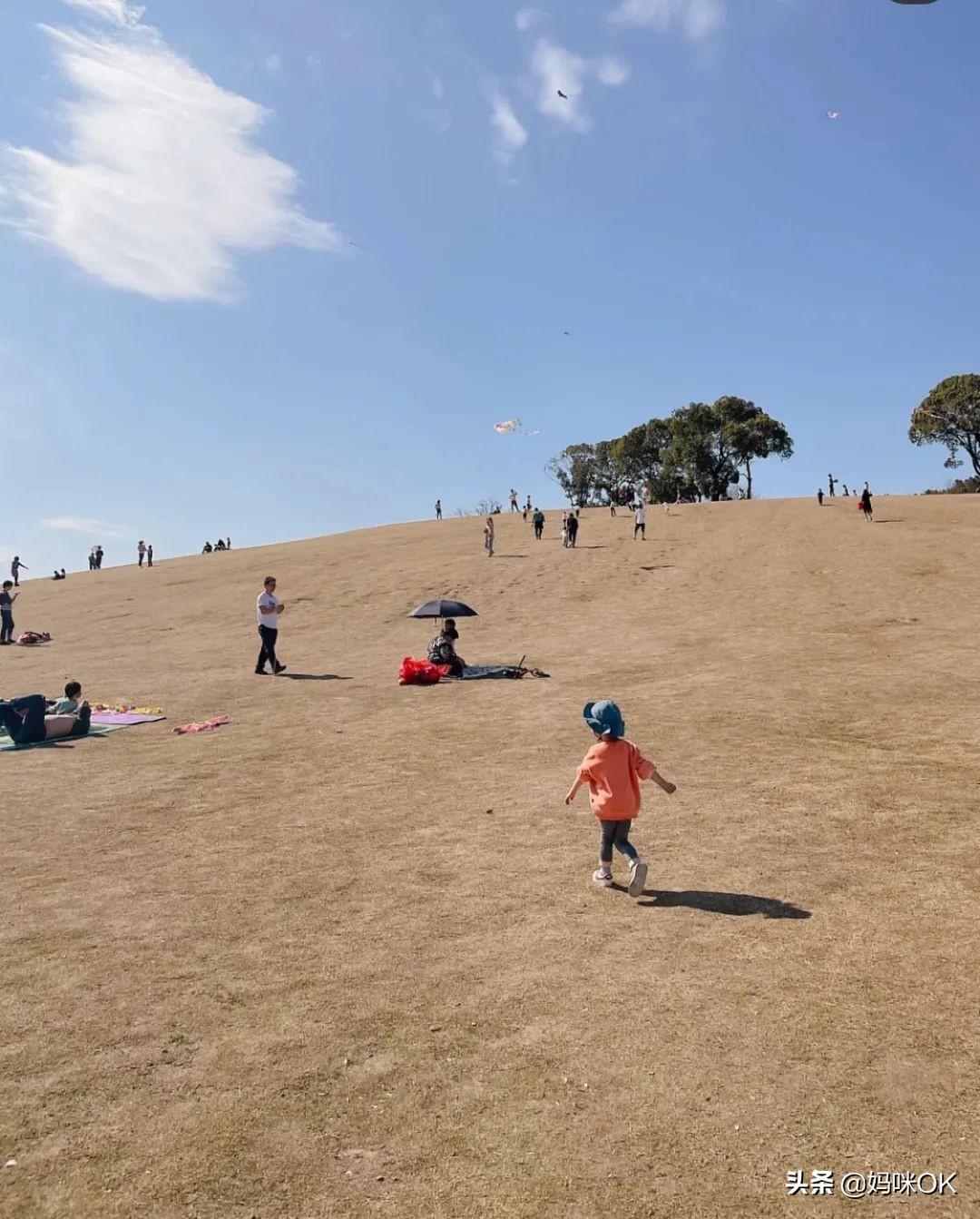 杭州天目山旅游攻略_辰山植物园旅游攻略_天目大峡谷旅游攻略