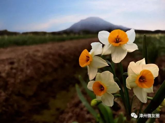 漳州市内好玩的景点_漳州景点大全景点排名_漳州古山重好玩