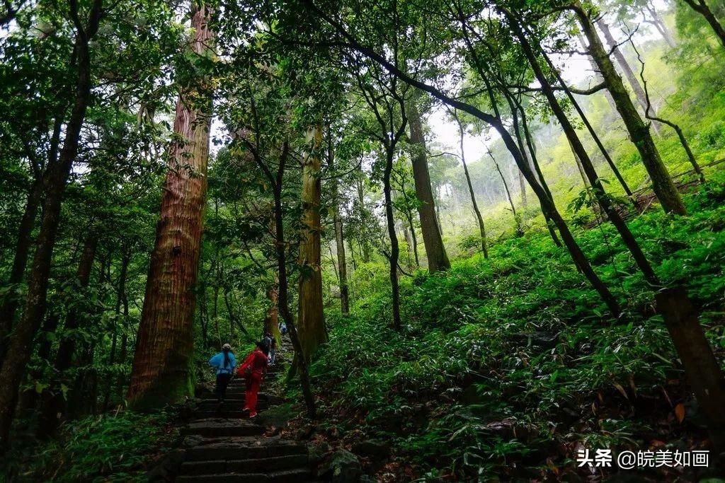 海坨山旅游攻略_交城卦山旅游攻略_杭州天目山旅游攻略