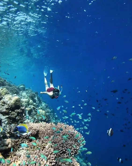 西班牙北部旅游攻略_阳江沙扒湾旅游攻略_北部湾旅游攻略