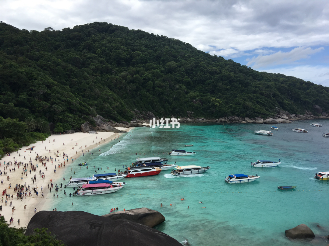 带父母出国旅游该注意哪些事项_暑假想带父母出国游去哪里玩好_带父母出国旅游去哪里