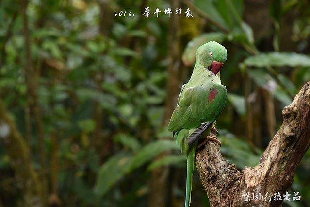 衢州旅游攻略_衢州旅游攻略自助游_攻略衢州旅游景点